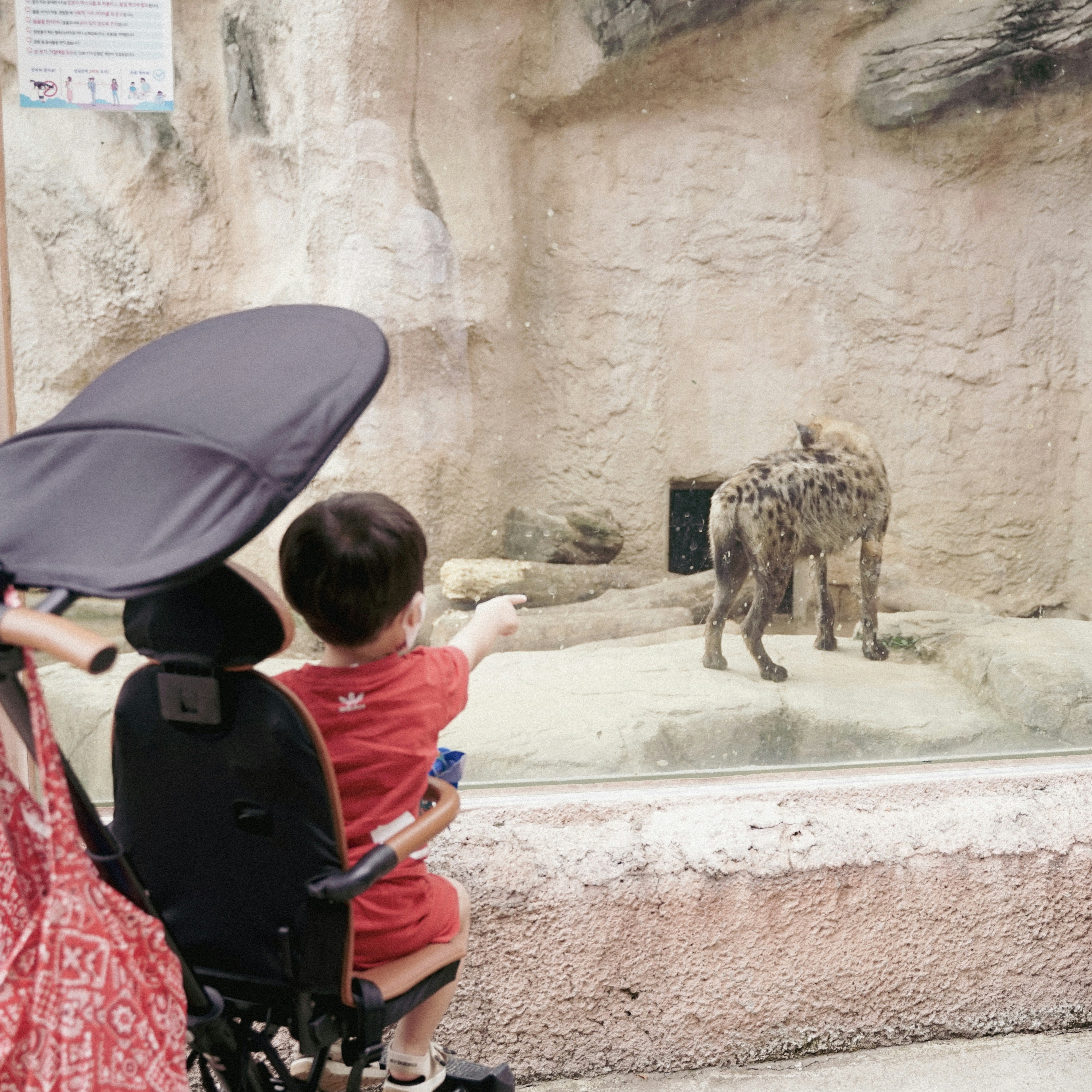 Children participating in educational zoo program
